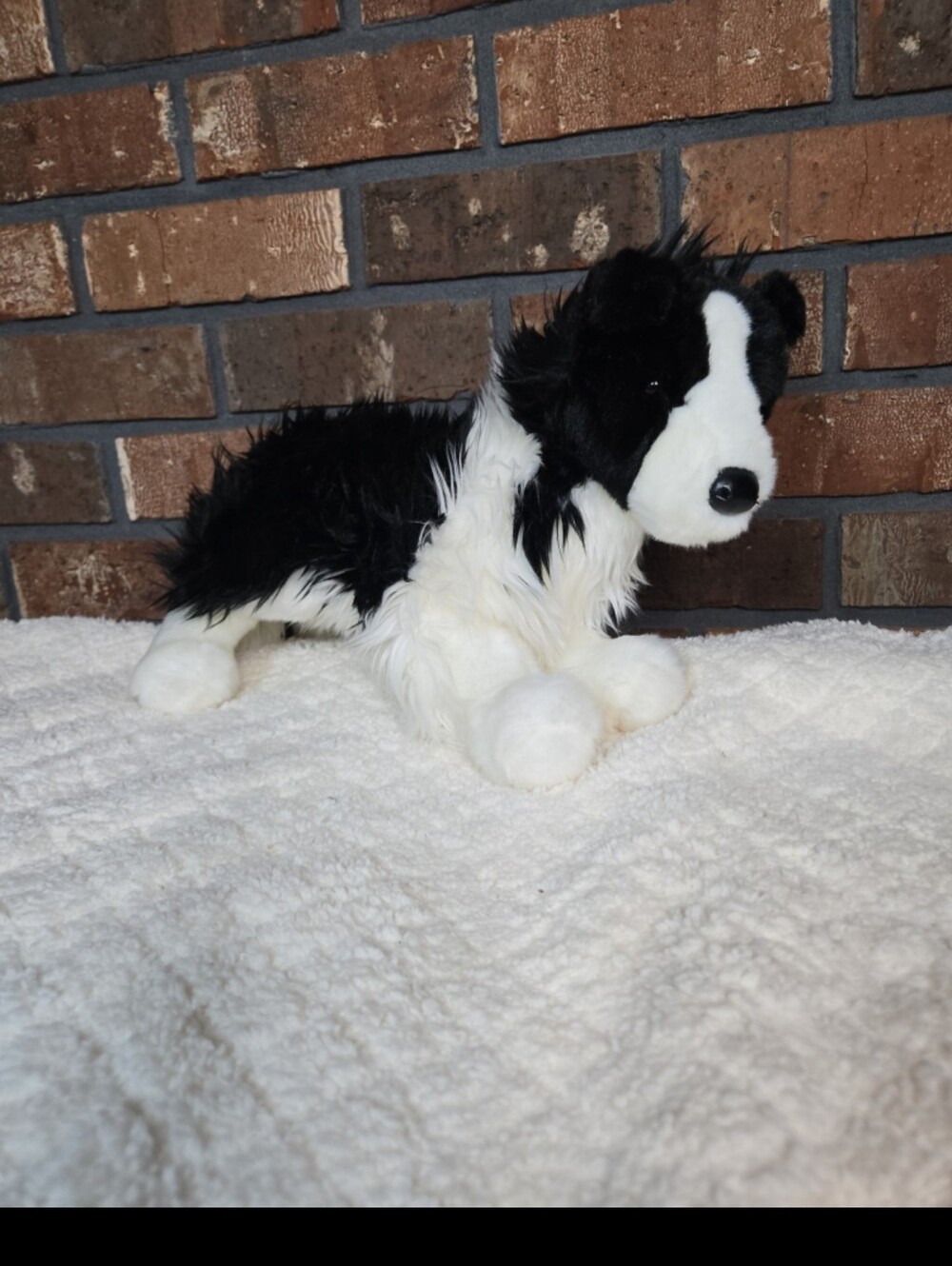 DISCONTINUED DOUGLAS PLUSH BORDER COLLIE
